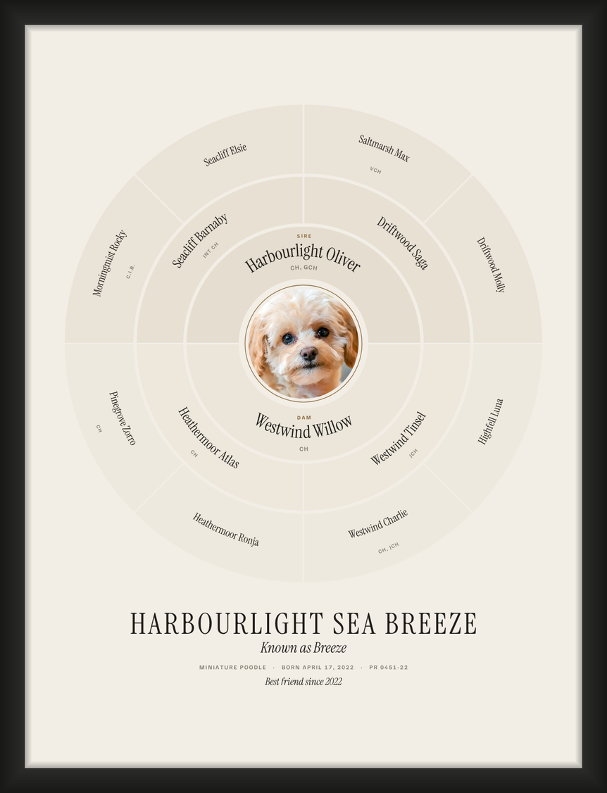 A framed Ring poster with a poodle's photo in the centre and three generations of names around it
